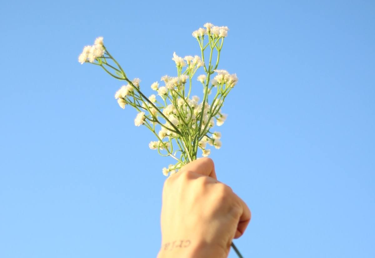 cuidados saludables y agua micelar