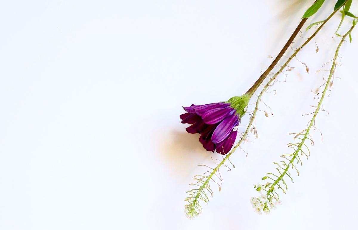 agua micelar natural garnier