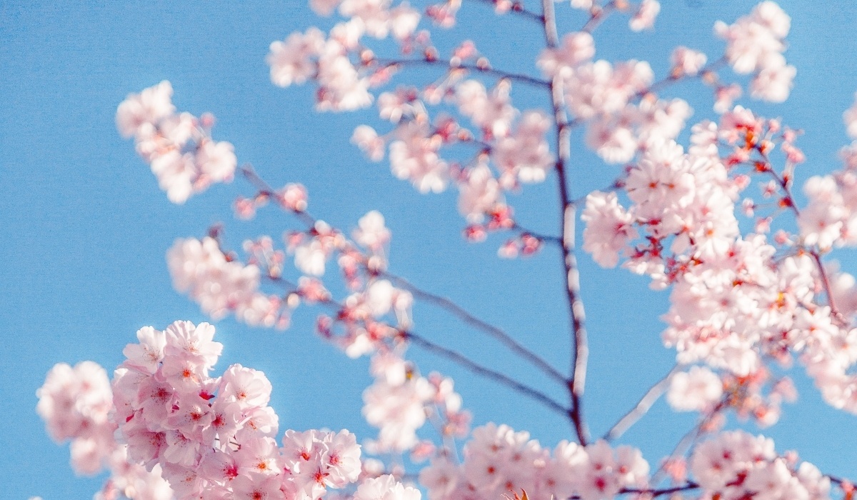 textura agua micelar la roche posay 