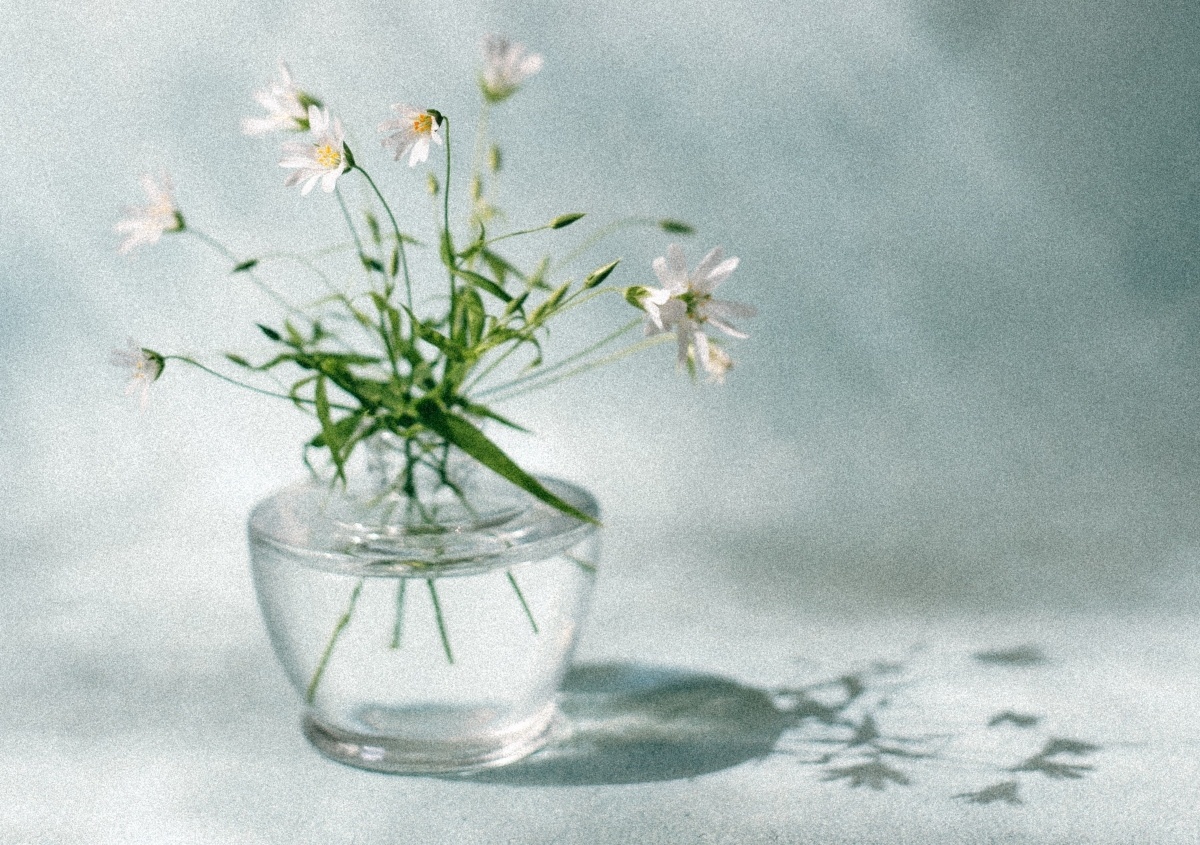 Propiedades crema Nivea Q10